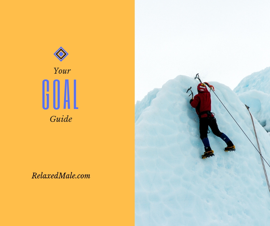 Reach for your goals but first start with the basic goal guide