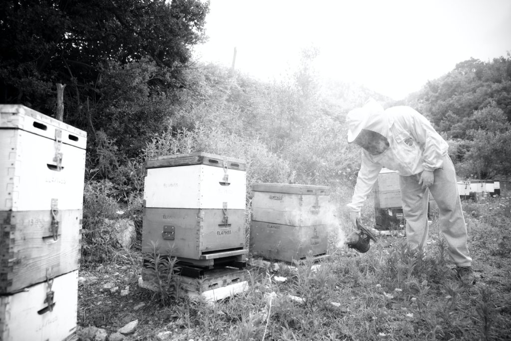 grayscale photography of man standing at forest