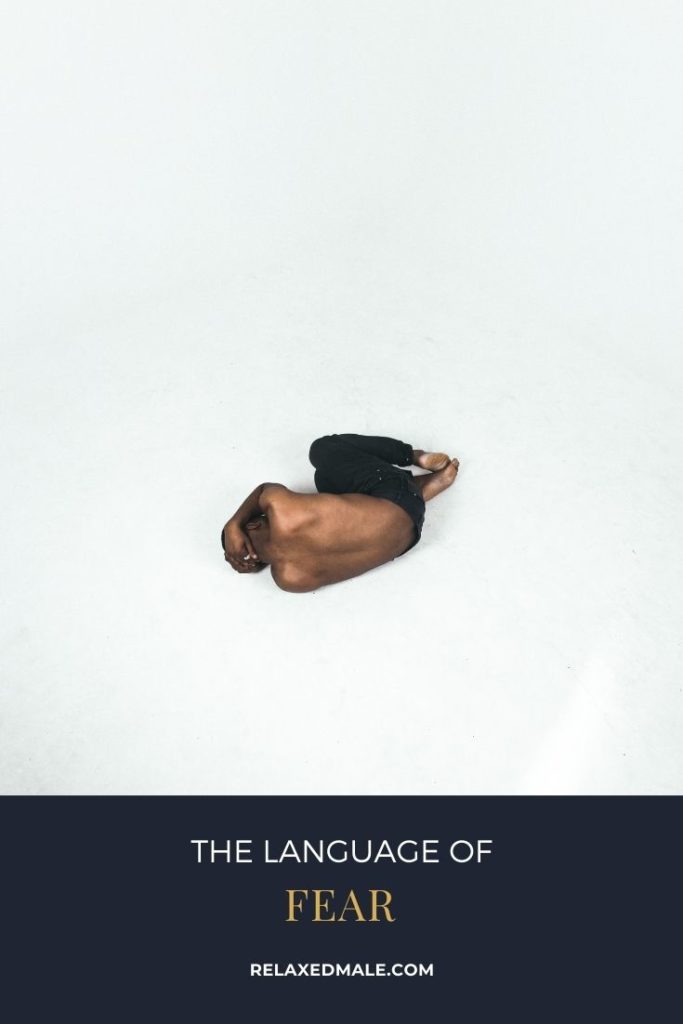 The Language of Fear